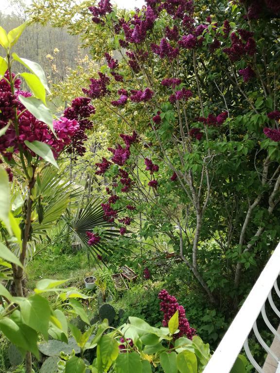 Guest House Fanny Sinemoretz Exterior foto