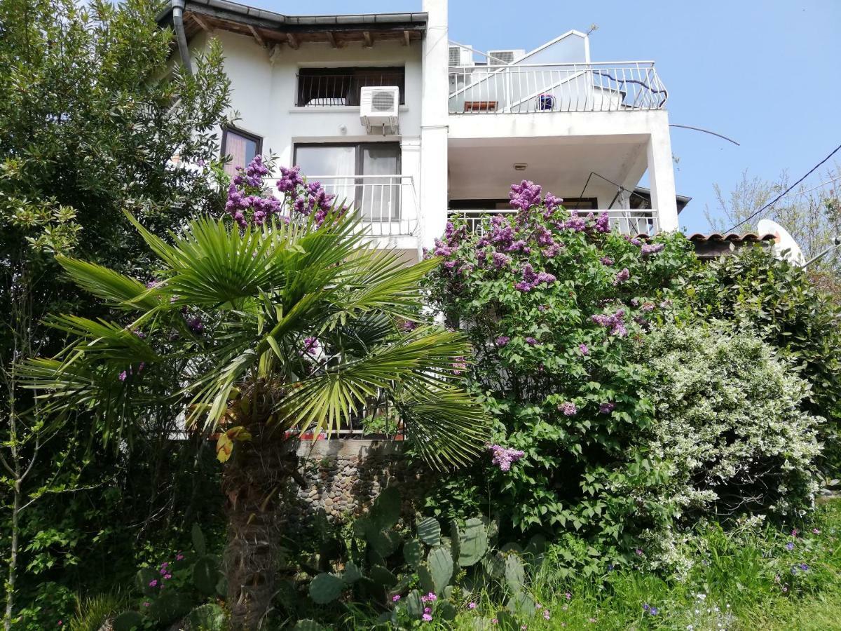 Guest House Fanny Sinemoretz Exterior foto